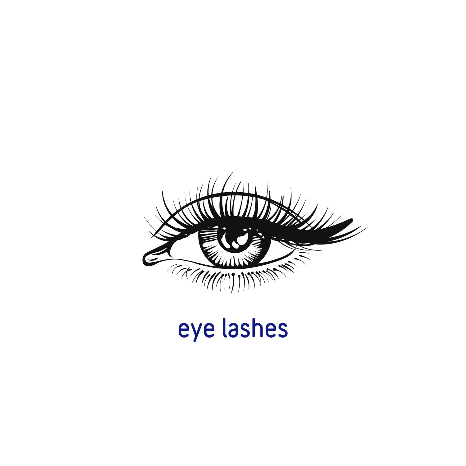Eye Lashes